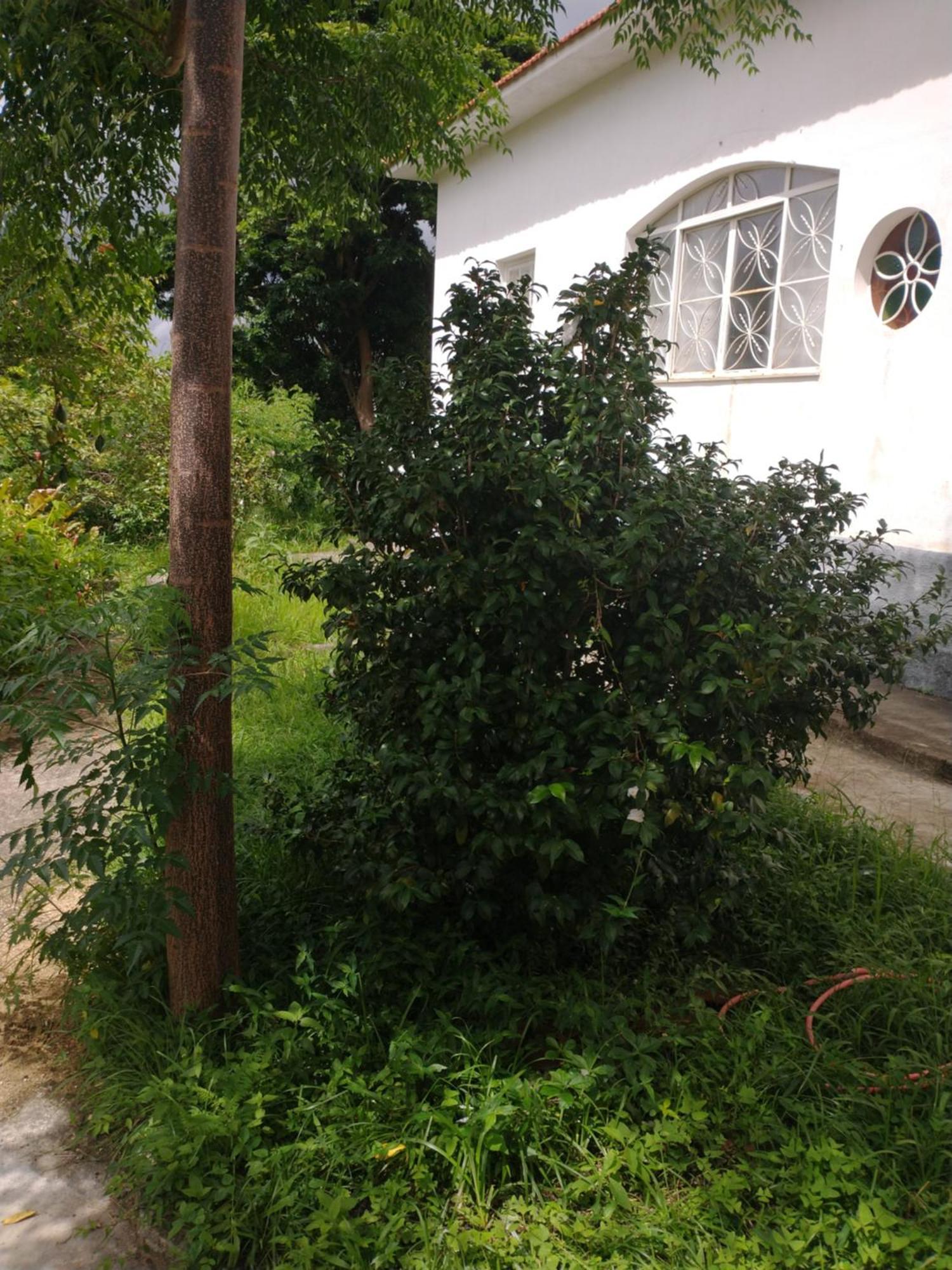 Casa Delicia Em Passa Quatro Ate 6 Pessoas 빌라 외부 사진